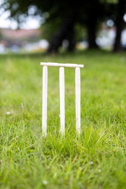 Novelty 8 Piece Wooden Cricket Set & Carry Bag