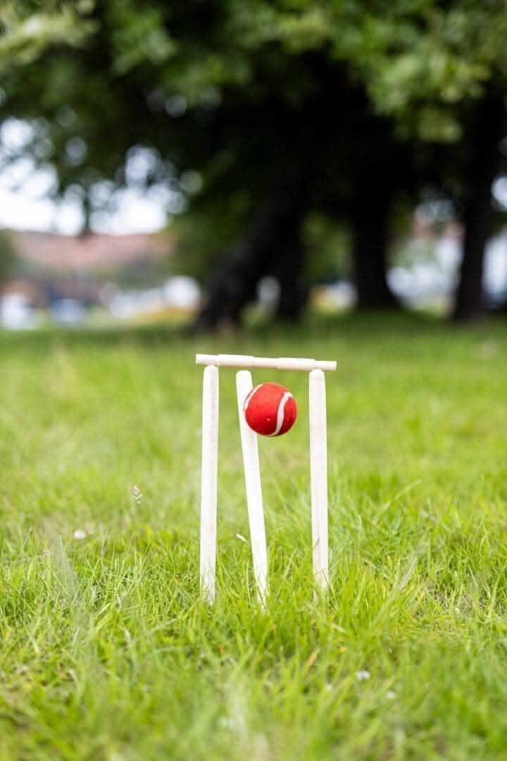 Novelty 8 Piece Wooden Cricket Set & Carry Bag