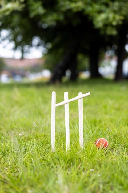 Novelty 8 Piece Wooden Cricket Set & Carry Bag