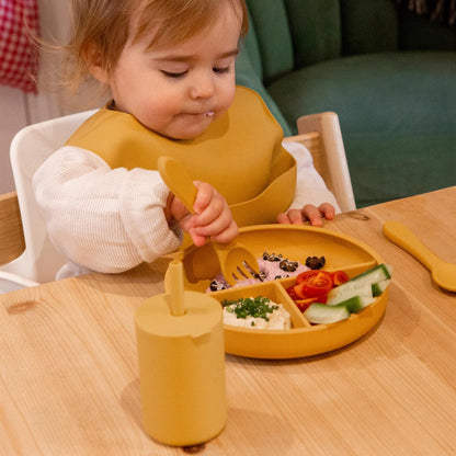 Silicone Divided Baby Suction Plate