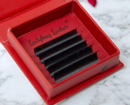 Cashmere Flat Classics Sample Lash Tray