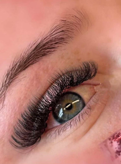 8D Clover Lash Tray Single Lengths