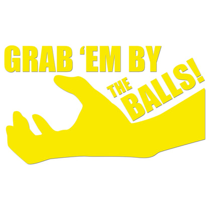 Grab Em By The Balls Sticker