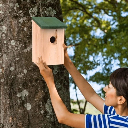 Wooden Bird Nesting Boxes x2
