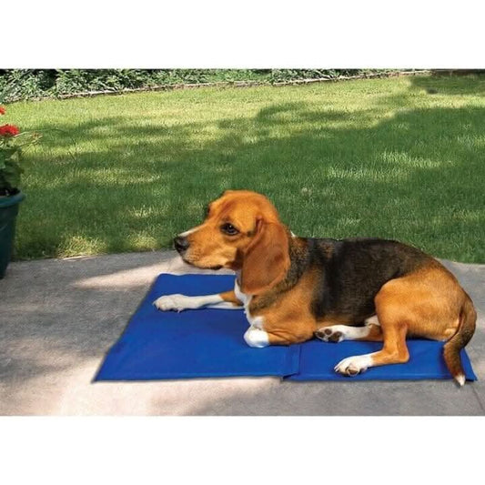 Cool Gel Summer Heat Relief Rug for Pets