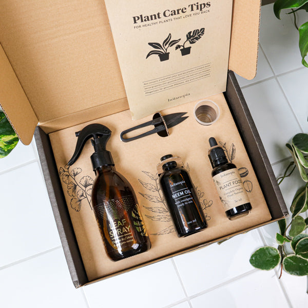 House Plant Care Kit