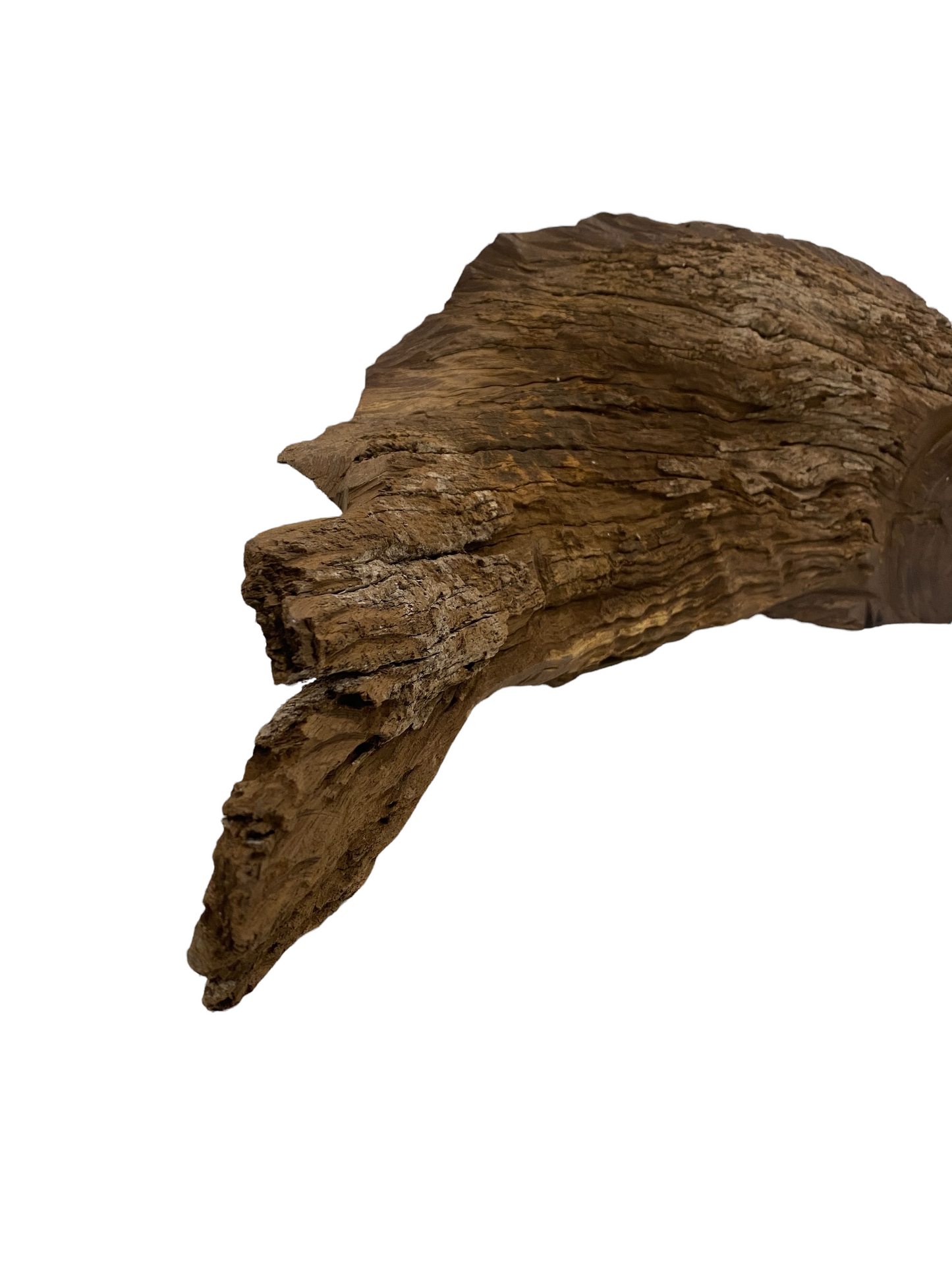 Driftwood Hand Carved Fish - (1304)