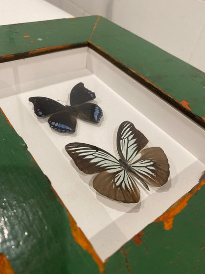 Butterfly - wooden frame (110.2)