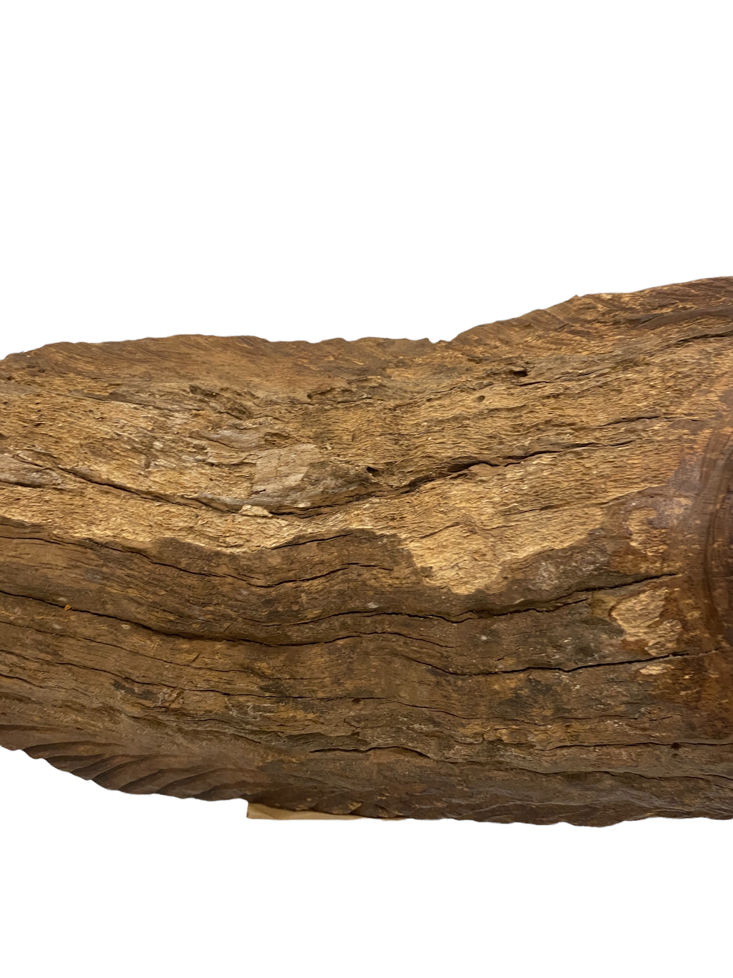 Driftwood Hand Carved Fish - M (1205)