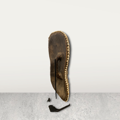 Cameroon Shield Cowrie shell Flower