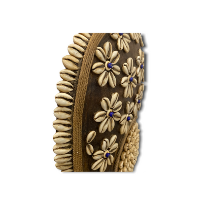 Cameroon Shield Cowrie shell Flower