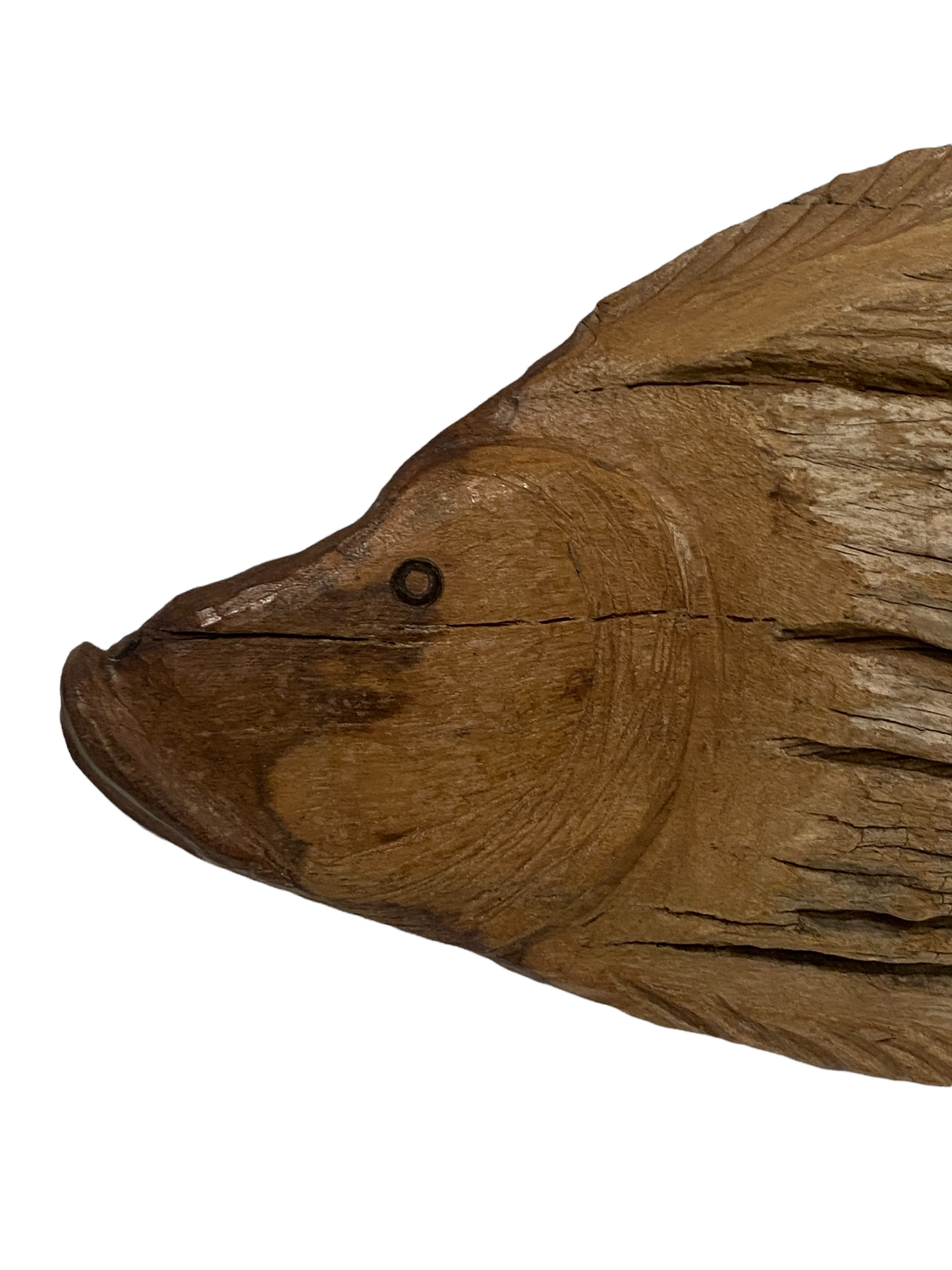 Driftwood Hand Carved Fish - (13.1) Large