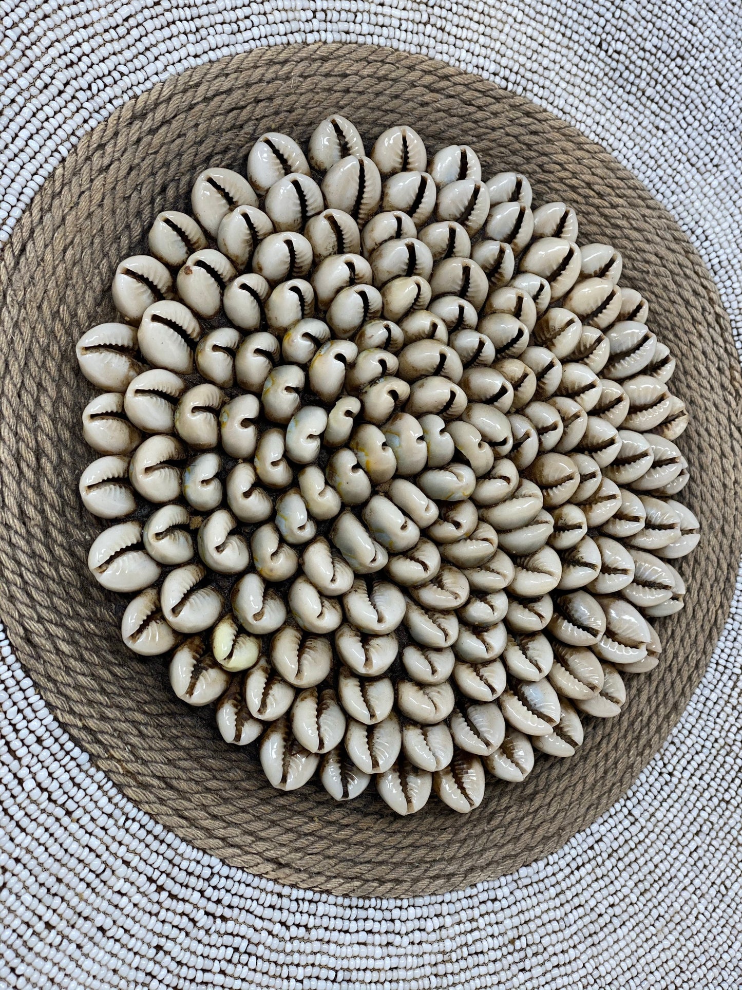 Cameroon Shield -  L - 55cm - White