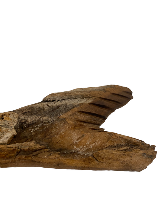 Driftwood Hand Carved Fish - S (1102)