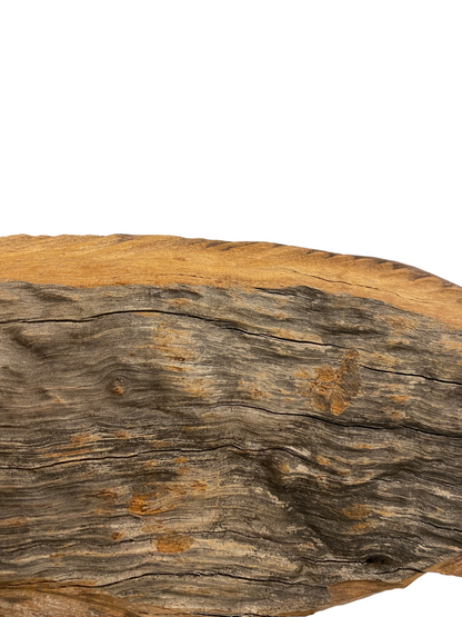 Driftwood Hand Carved Fish - M (1207)