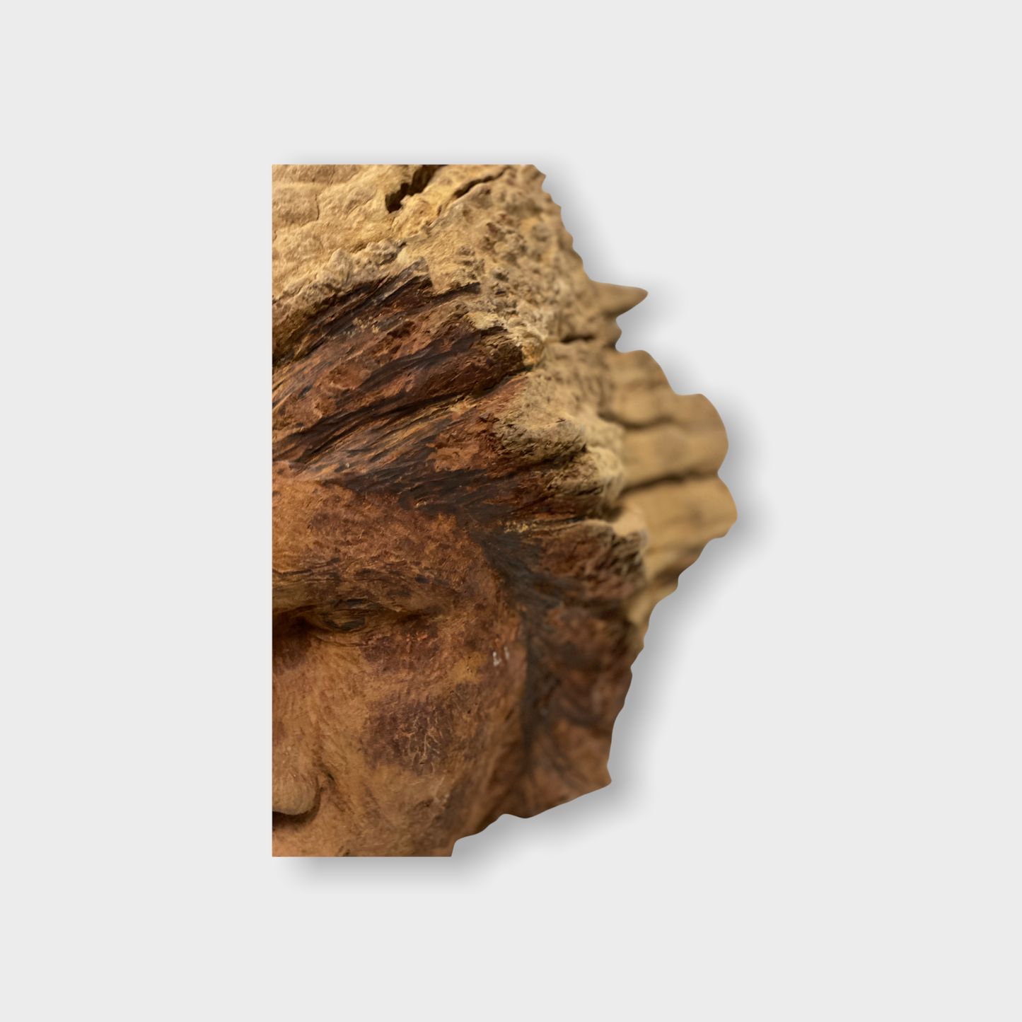 Hand Carved Head - Zimbabwe - large (152.1)