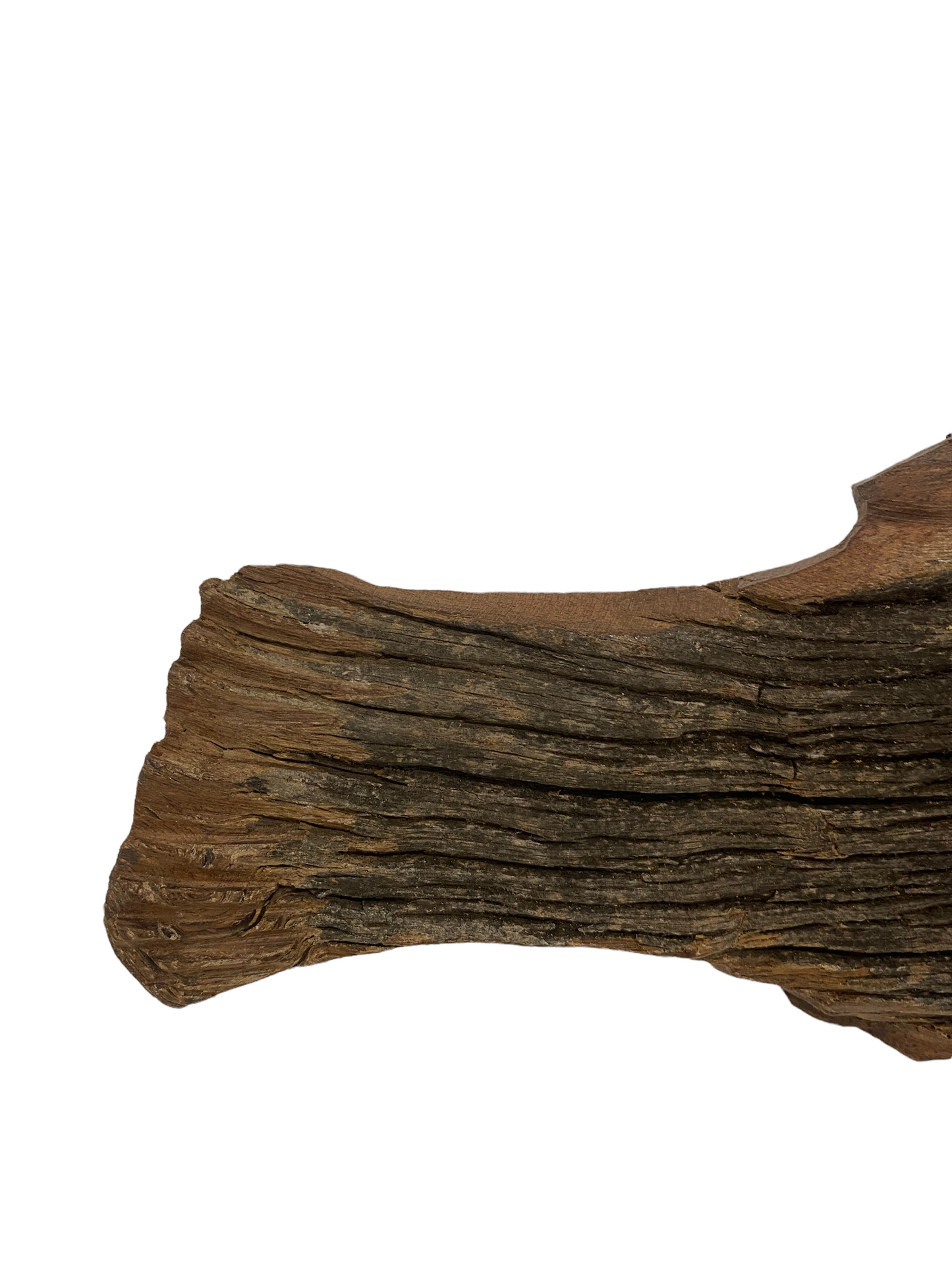 Driftwood Hand Carved Fish - M (1201)