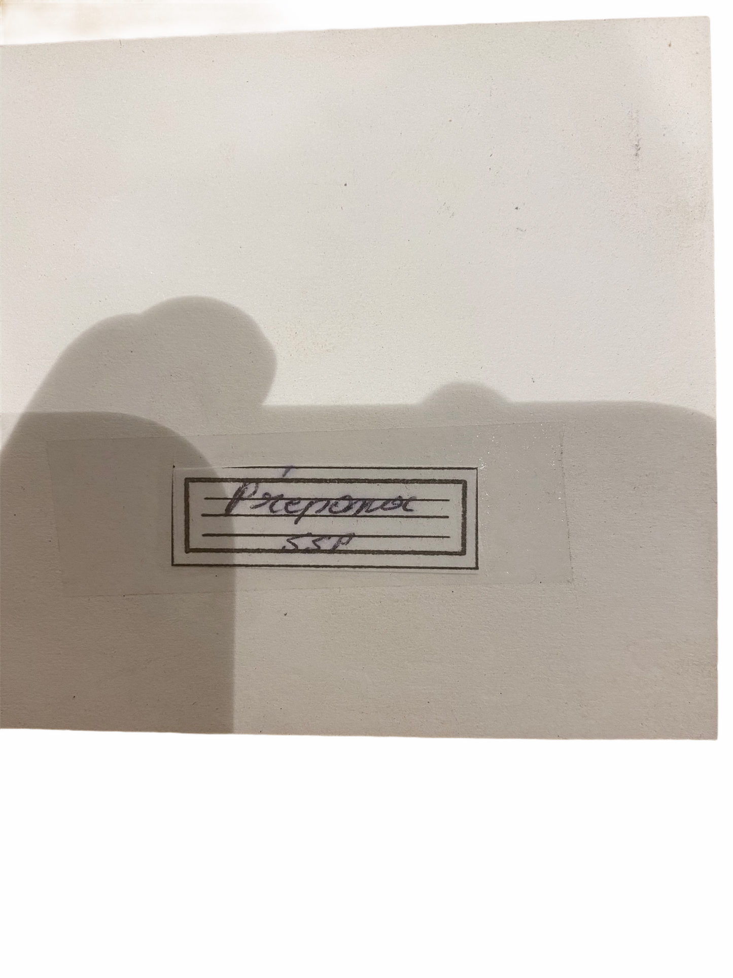 Butterfly in Yellow Frame