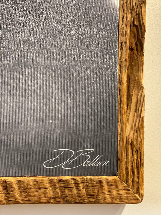 David Ballam - OMO 37 - Mursi Woman III, Omo Valley, Ethiopia