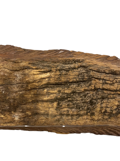 Driftwood Hand Carved Fish - M (1202)