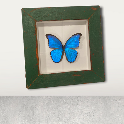 Butterfly - wooden frame big blue (111.1)