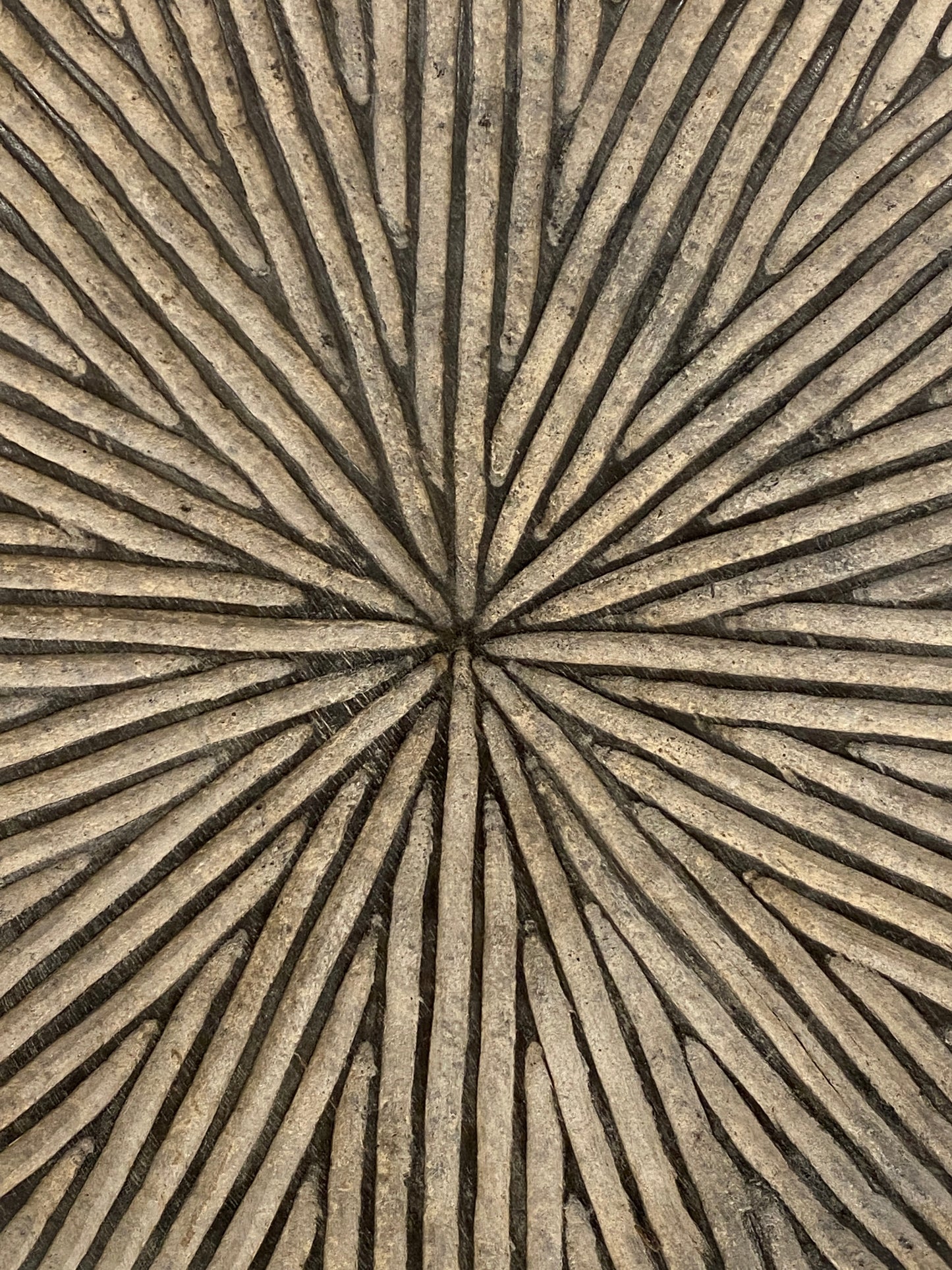 Cameroon Shield - (54.4)