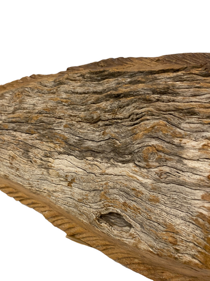 Driftwood Hand Carved Fish - (1303)