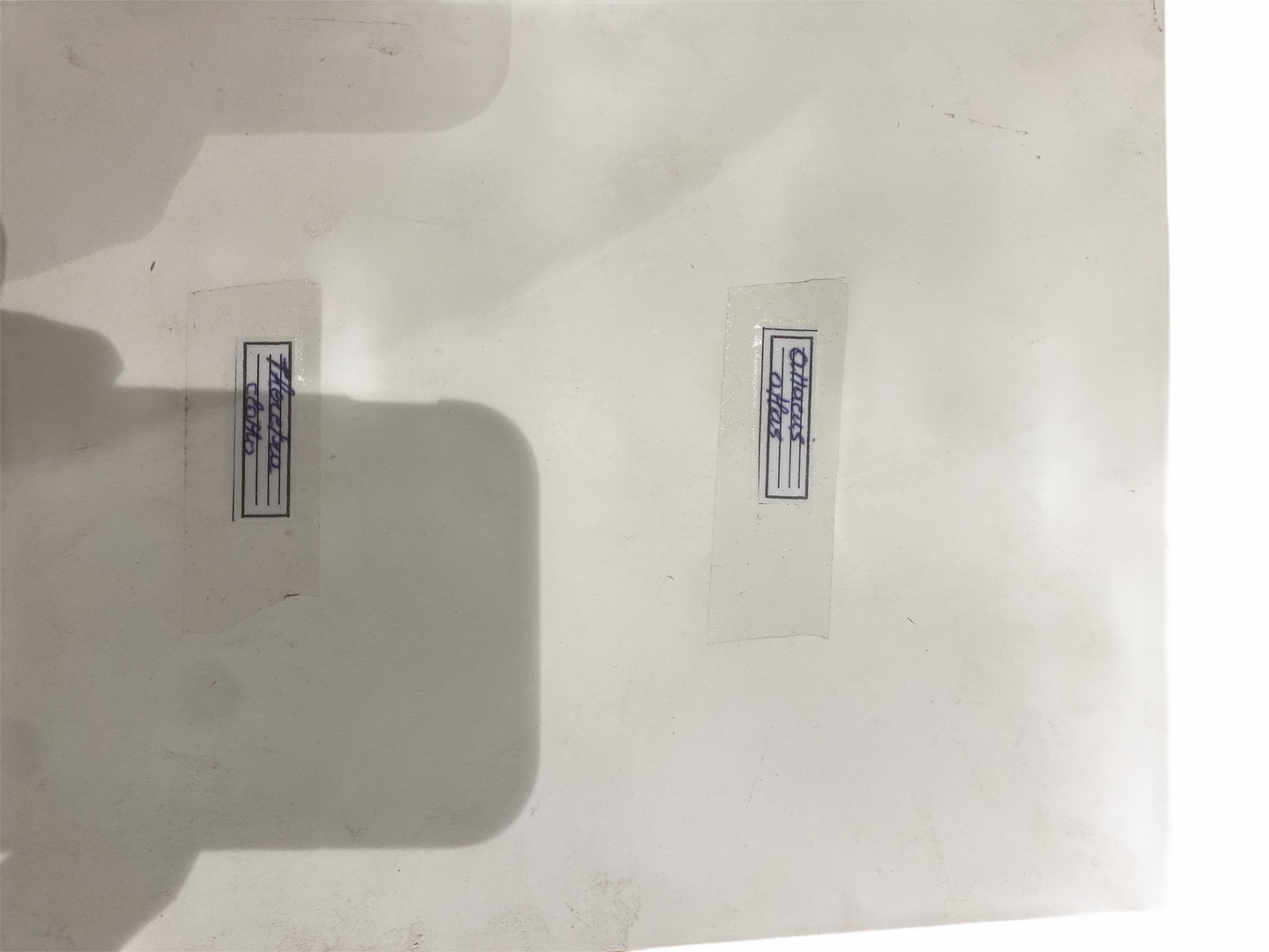 Large Butterflies in Natural Frame