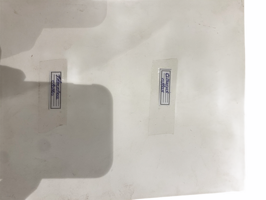 Large Butterflies in Natural Frame