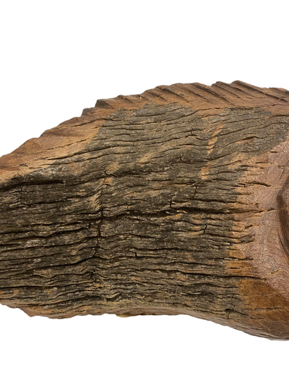 Driftwood Hand Carved Fish - M (1201)