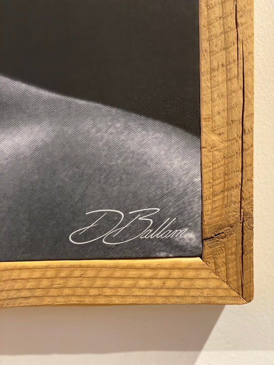 David Ballam - OMO 34 - Mursi Woman II, Omo Valley, Ethiopia