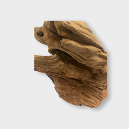 Hand Carved Head - Zimbabwe - large (152.1)