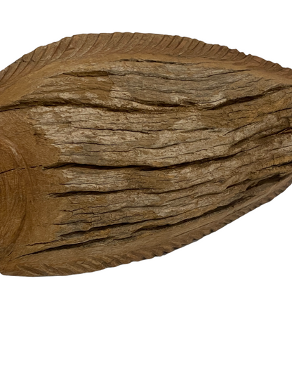 Driftwood Hand Carved Fish - (13.1) Large