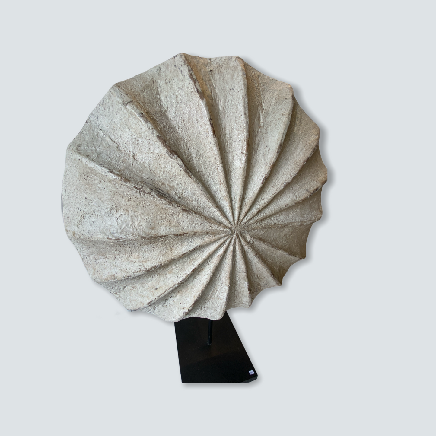 Cameroon Wooden Shield - L (10)