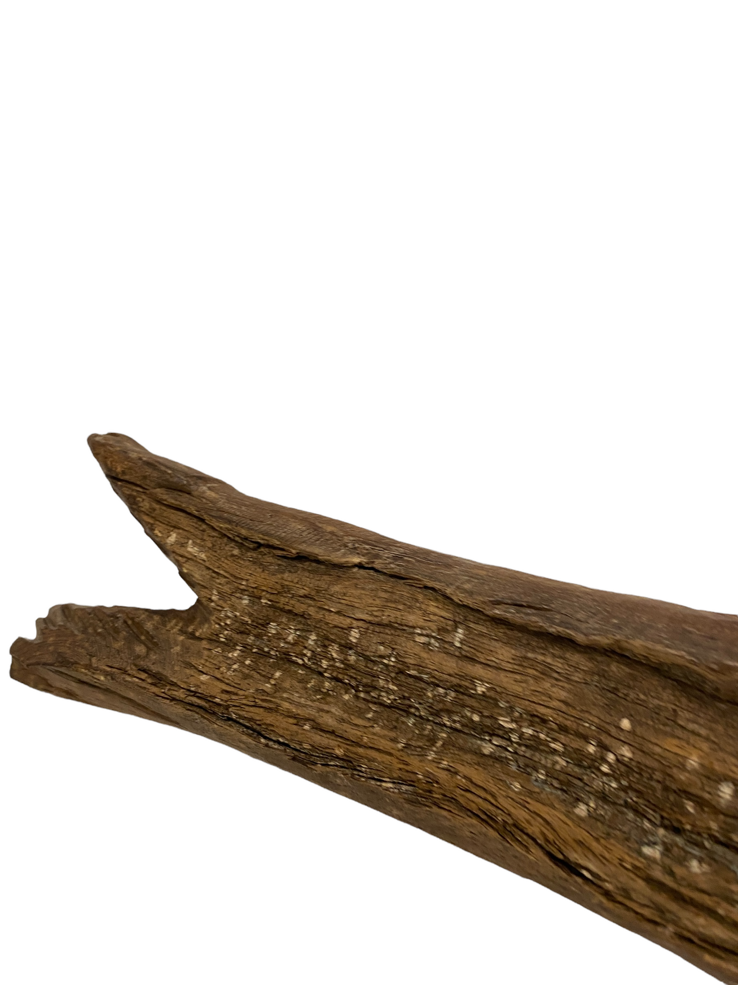 Driftwood Hand Carved Fish - M (1209)