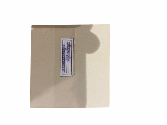 Butterfly in Natural Frame