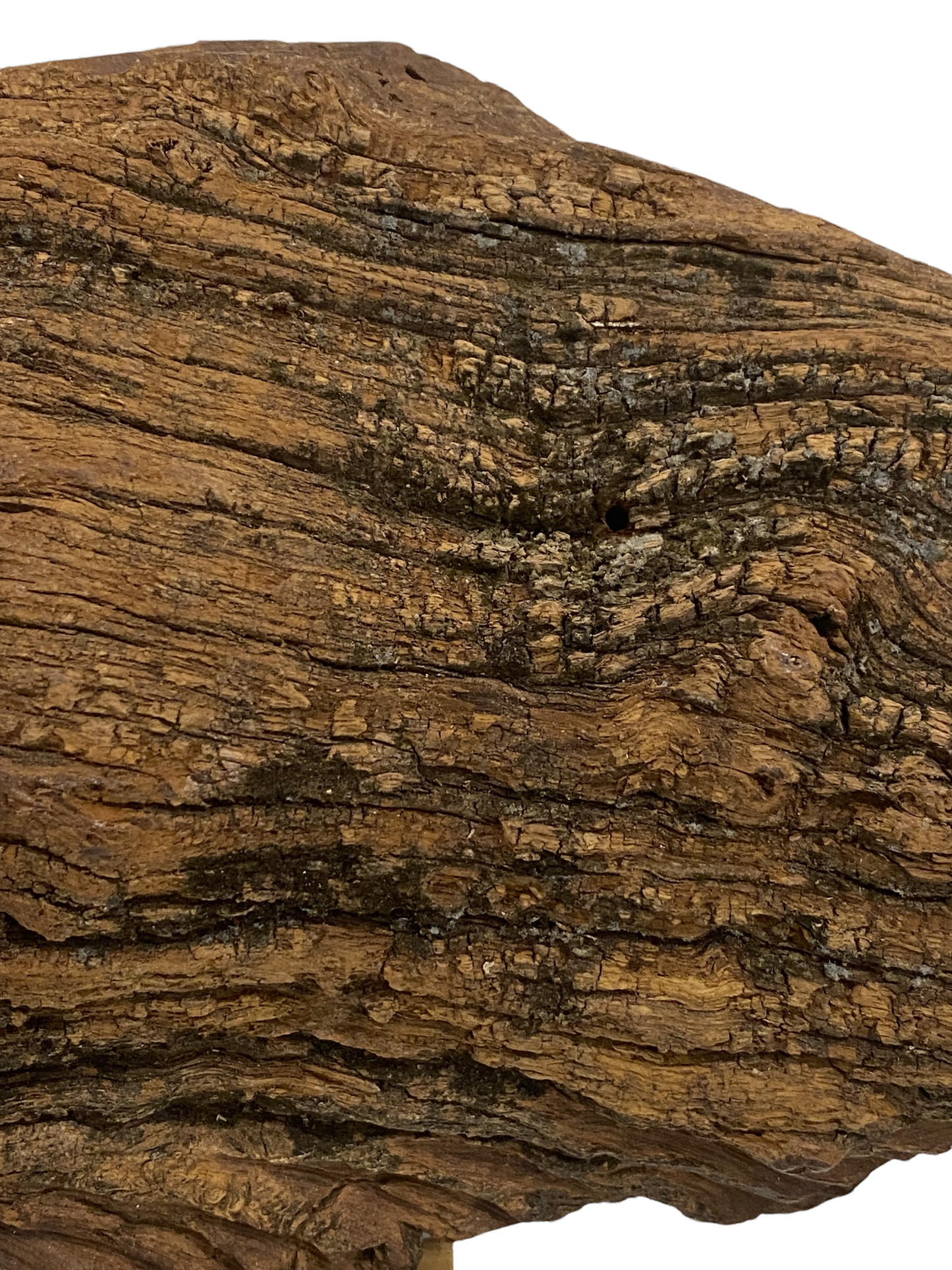 Driftwood Hand Carved Fish - S (1105)