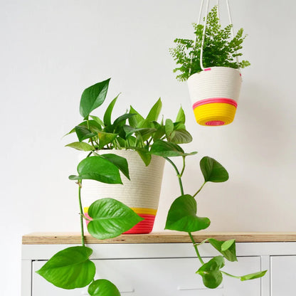 Planter Basket 100% cotton (17.4) Yellow