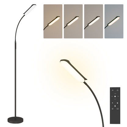 HOMCOM LED Floor Lamp for Living Room with Magnetic Remote Control, Black
