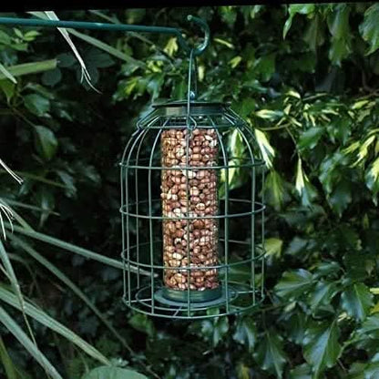 NUT Bird Feeder with Cage Safe Guard