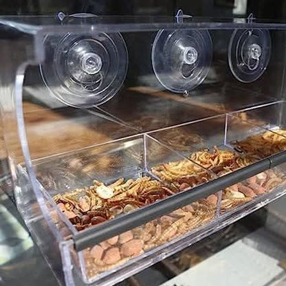 Large Window Bird Feeder with Suction Cups and 3 Feeding Sections