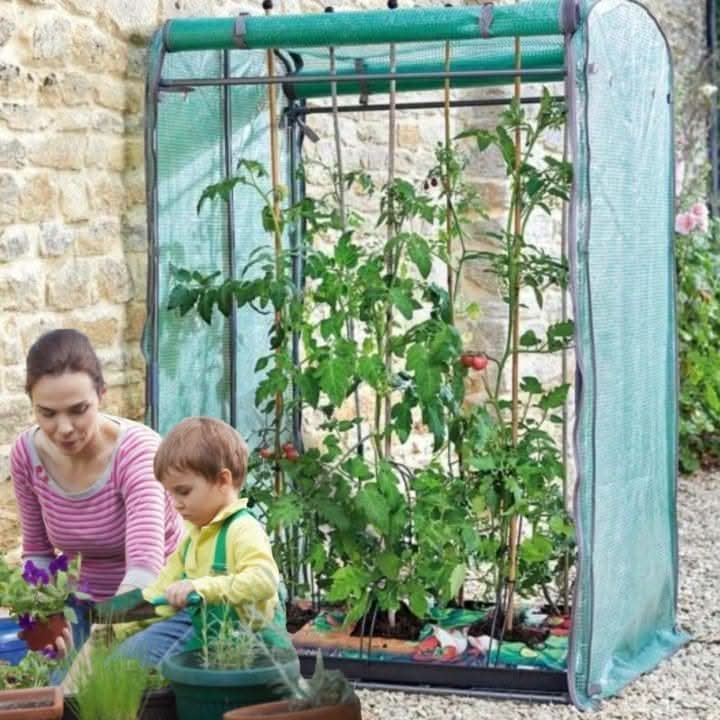 Large Garden Protection Greenhouse Grow House