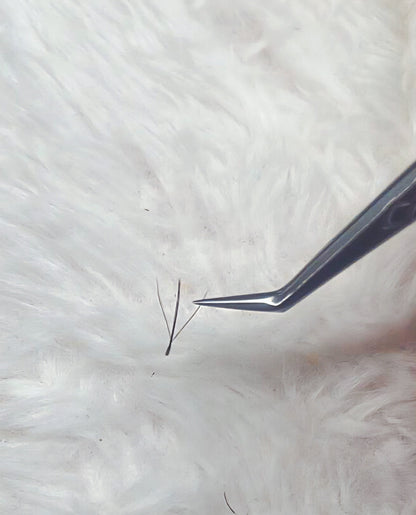 Fairy Lashes Sample Tray – Mixed Lengths 10-14mm