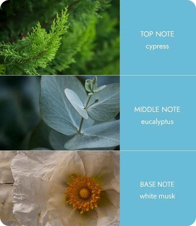 Heart & Home Tranquility Twin Wick Ellipse Soy Candle - 40 Hours Burn