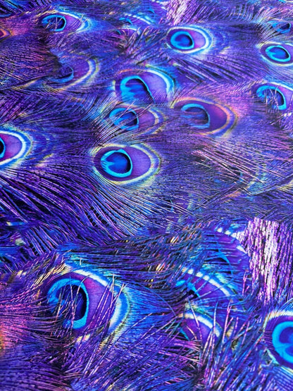 Purple Peacock Feather Pattern Fabric