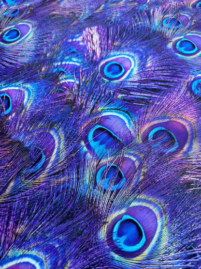 Purple Peacock Feather Pattern Fabric
