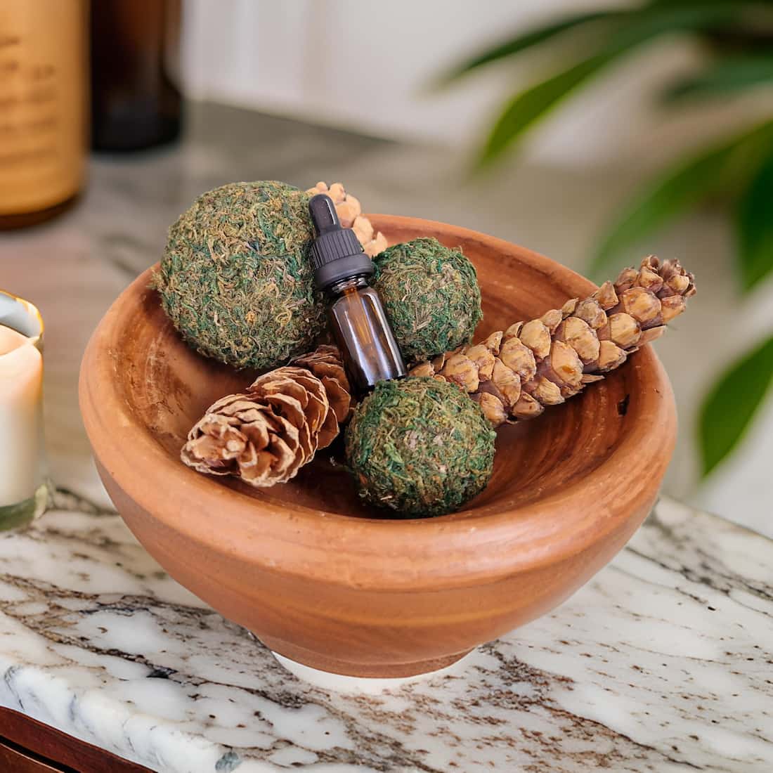 Pine Cone & Moss Ball Potpourri with Fragrance Oil Dropper