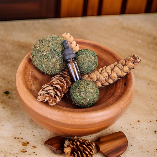 Pine Cone & Moss Ball Potpourri with Fragrance Oil Dropper