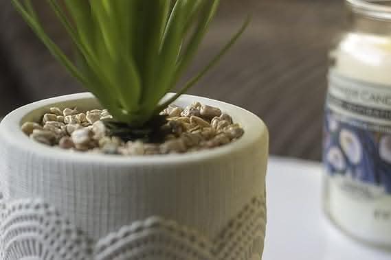 Artificial Succulent in a White Pot With Legs