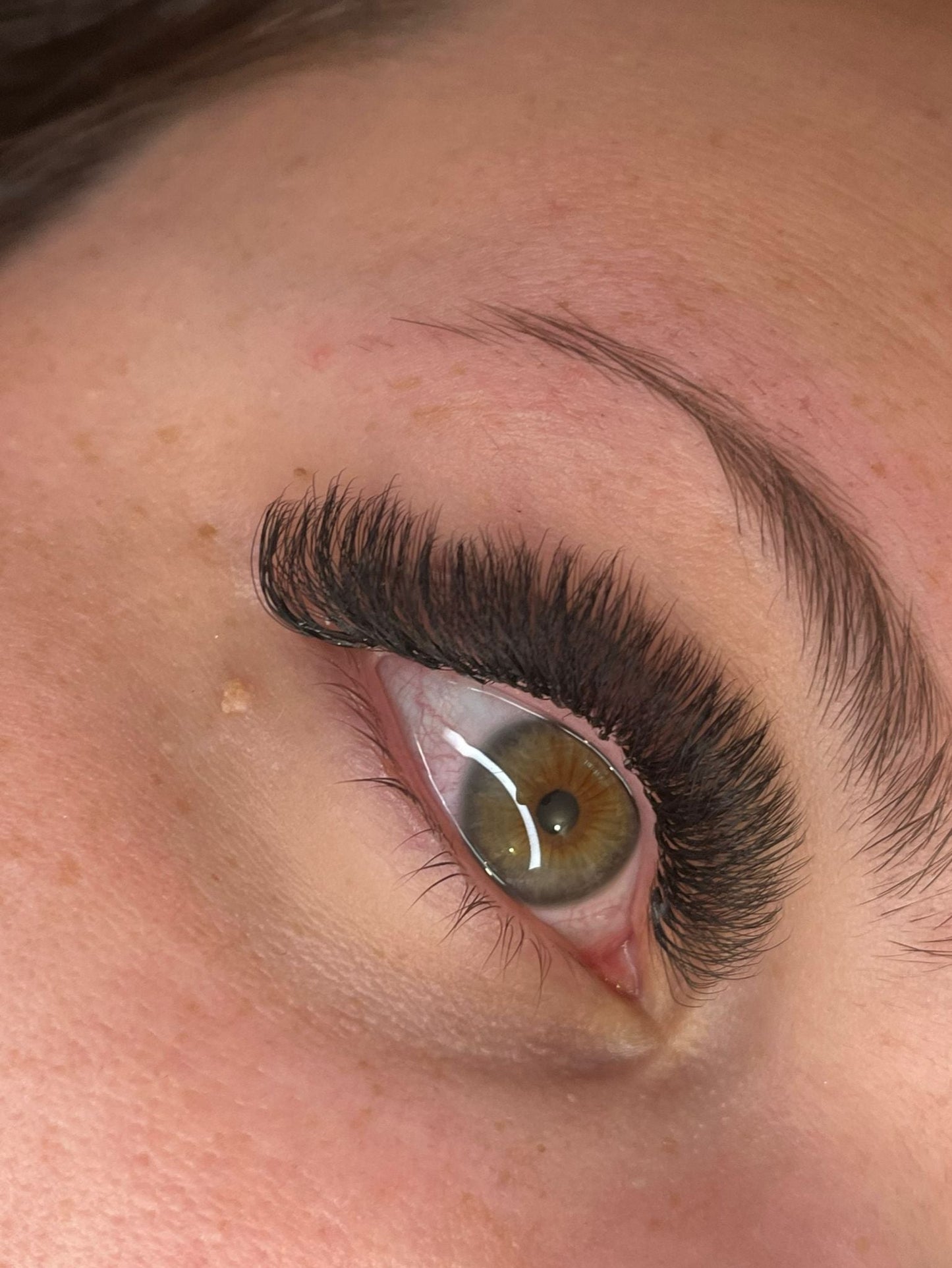 8D Clover Lash Tray Single Lengths